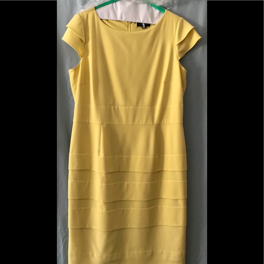 Tahari Dress